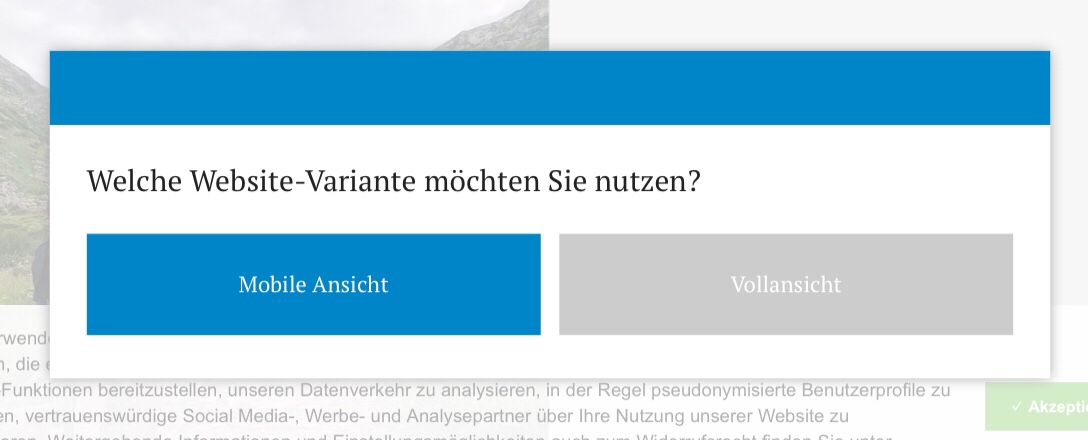 Website modal asking if I want to see the mobile version